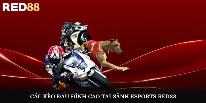 Các kèo đấu đỉnh cao tại sảnh Esports Red88