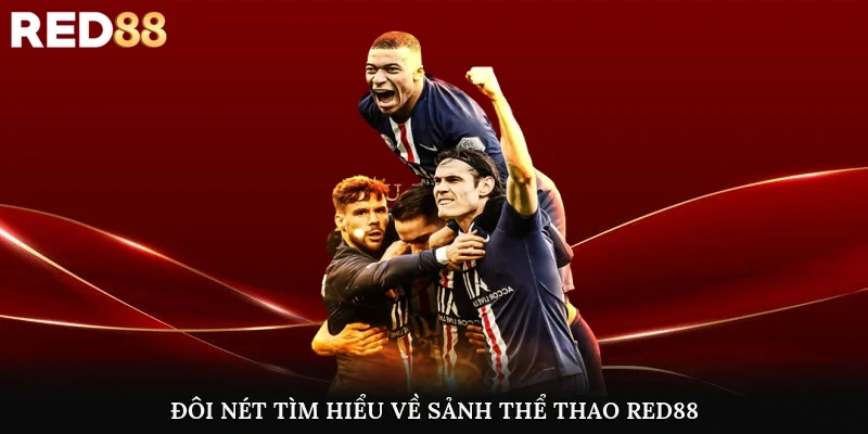 Đôi nét tìm hiểu về sảnh thể thao Red88