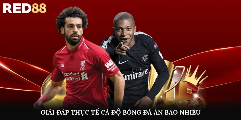 Giải đáp thực tế cá độ bóng đá ăn bao nhiêu