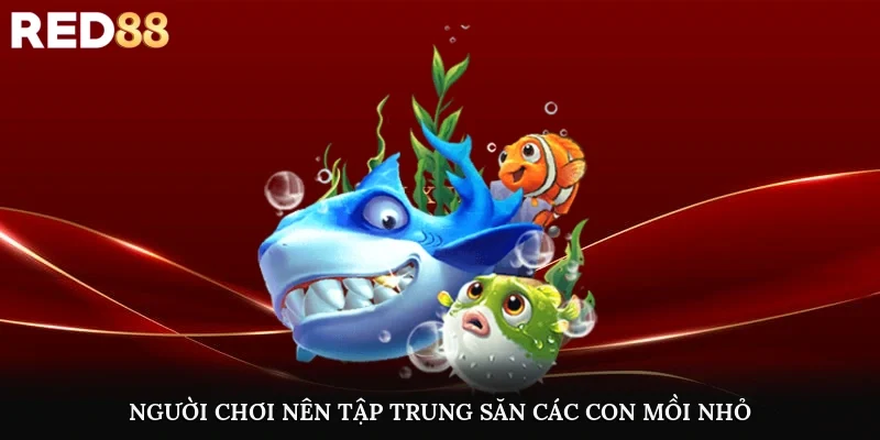 Người chơi nên tập trung săn các con mồi nhỏ trước