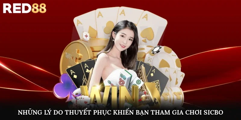 Những lý do thuyết phục khiến bạn tham gia chơi sicbo