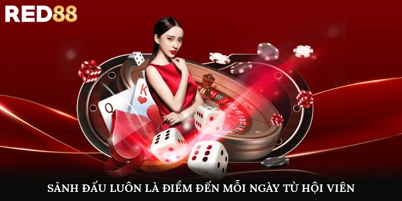 Sảnh đấu luôn là điểm đến mỗi ngày từ hội viên
