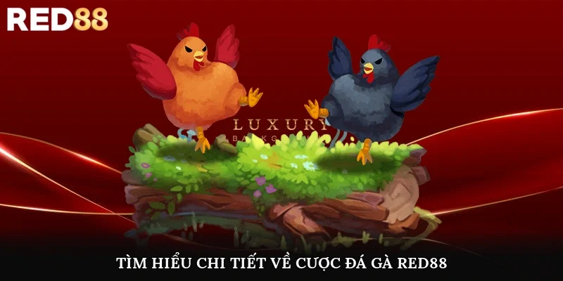 Tìm hiểu chi tiết thông tin về bộ môn cá cược đá gà Red88