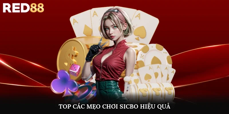 TOP các mẹo chơi sicbo hiệu quả và dễ dàng cho newbie